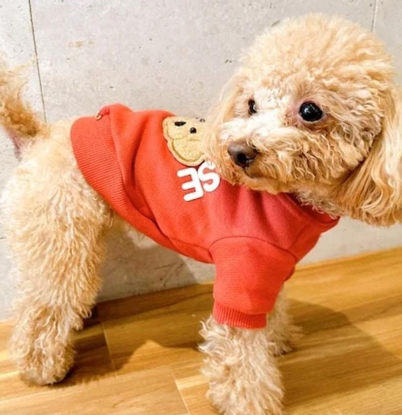 ★完売品★ DENIM ROSE ビッグワッペントレーナー