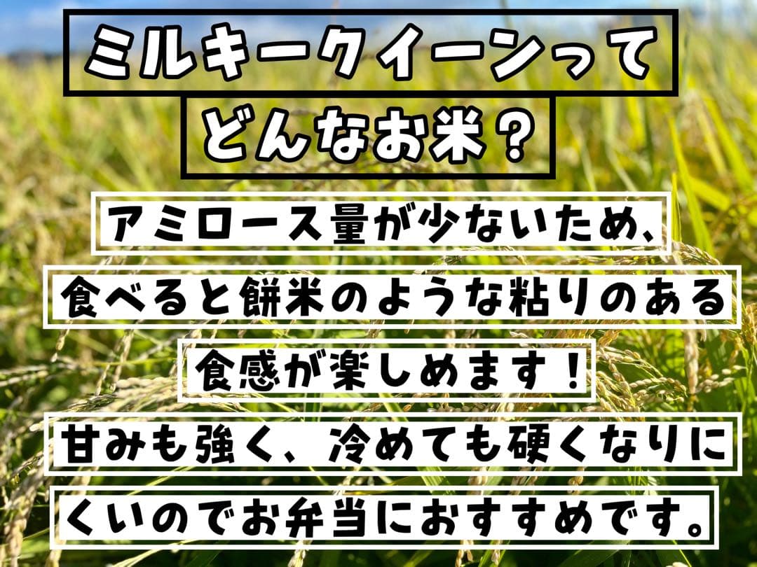 【令和7年度新米】近江米 ミルキークイーン 5kg＋コシヒカリ5kg