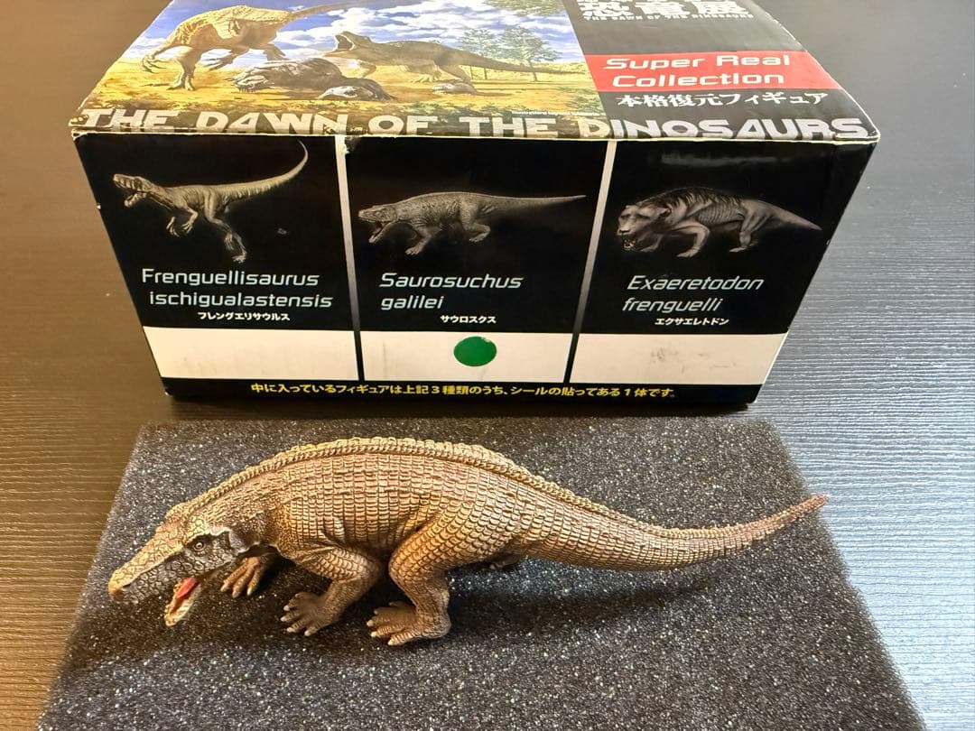 地球最古の恐竜展　サウロスクス　本格復元フィギュア