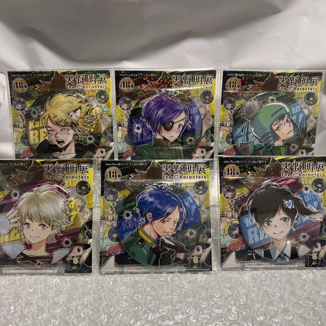 大幅値下げ天野明展 家庭教師ヒットマンREBORN! 缶バッジコンプセット36個