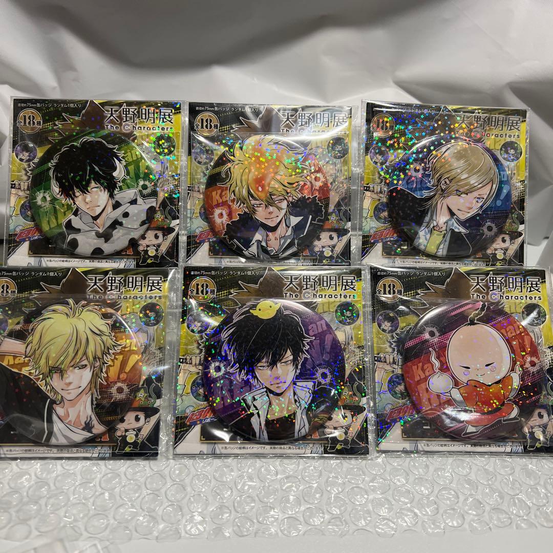 大幅値下げ天野明展 家庭教師ヒットマンREBORN! 缶バッジコンプセット36個