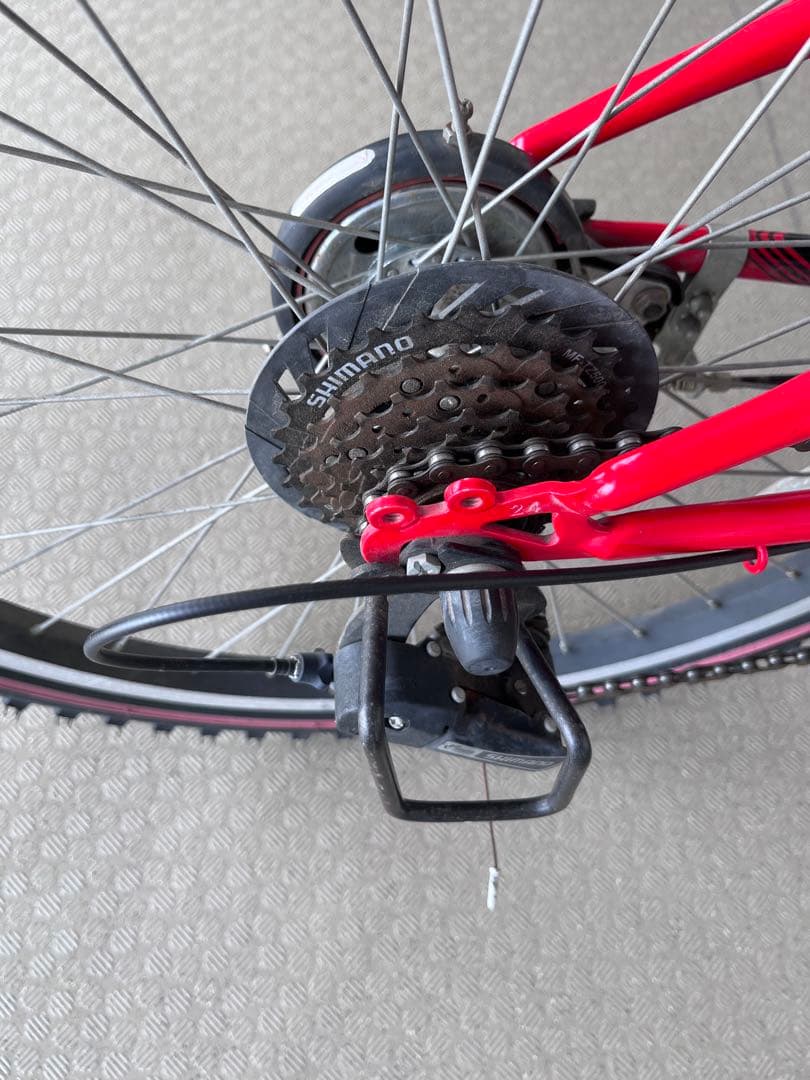 【直接お渡し限定】　ブリヂストン　エクスプレスジュニア　24インチ　点灯虫