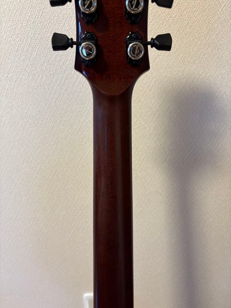 ギター Seventy Seven Stork-jazz II-h