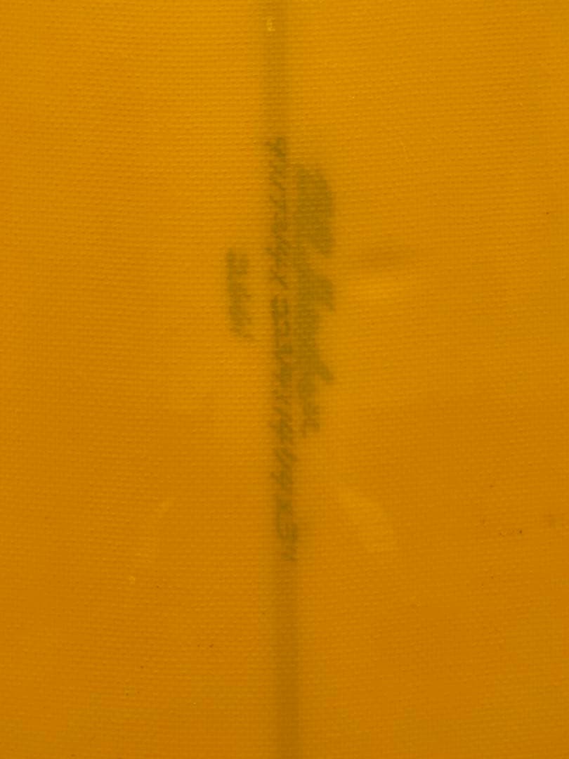 ジョエルチューダーサーフボード パパジョー 9'