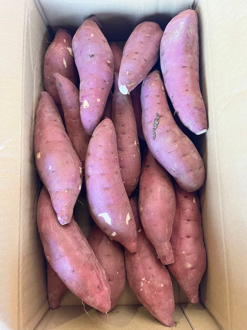 大分県産　甘太くんA品Lサイズ　20キロ