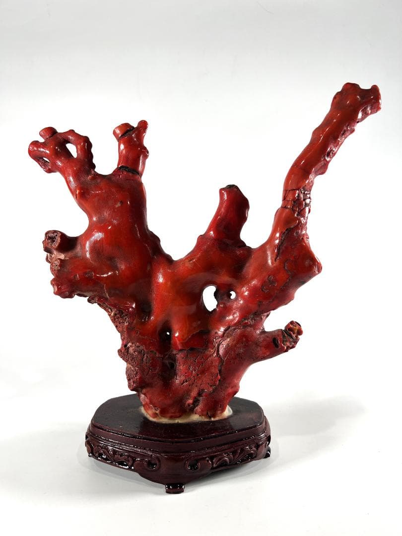 【送料無料・蔵出し品】珊瑚　珊瑚礁　赤珊瑚　台座付　飾り　詳細不明　写真参照