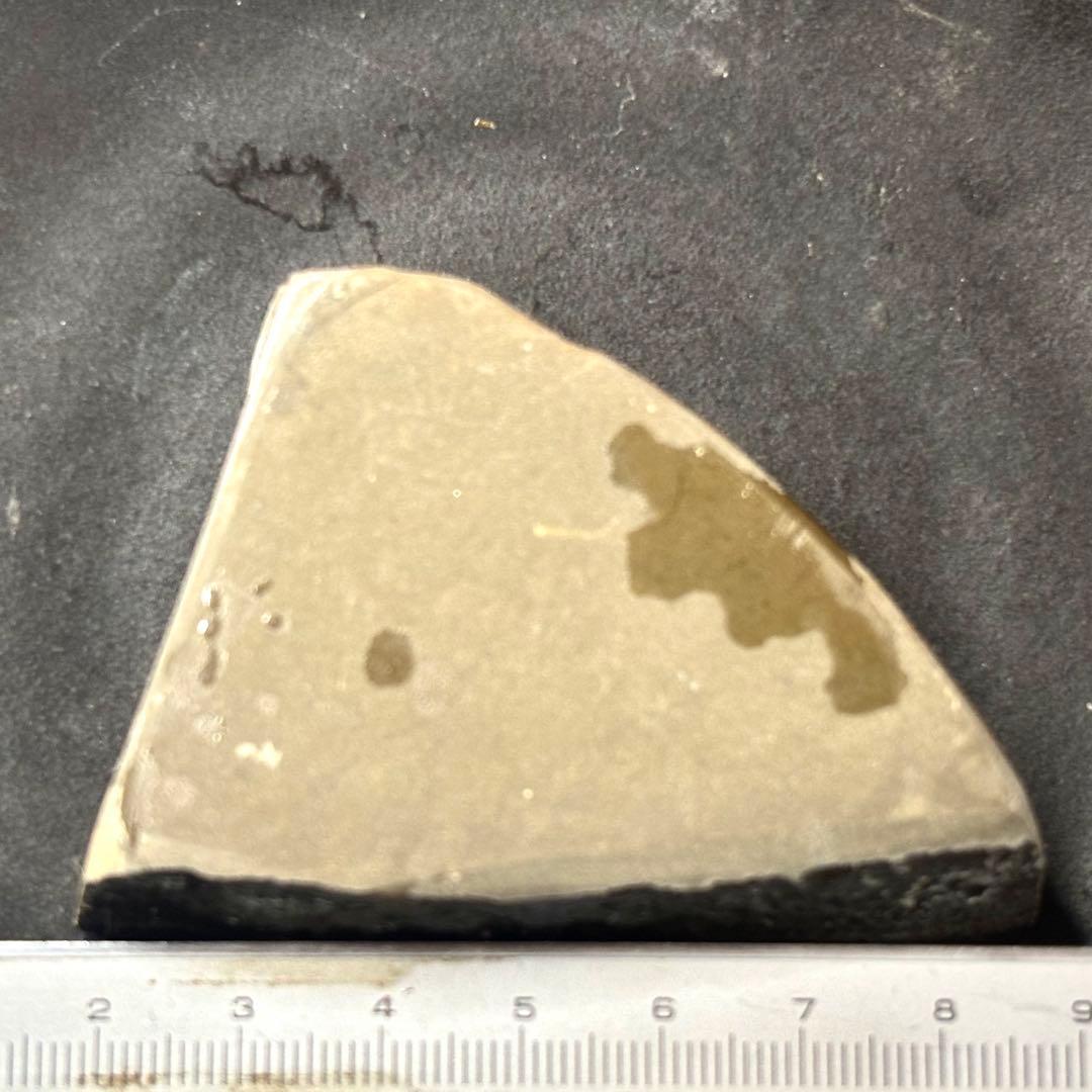 カナダ産 アンモライトドラゴンスキン 樹脂スタビライズ加工 天然宝石 化石 標本