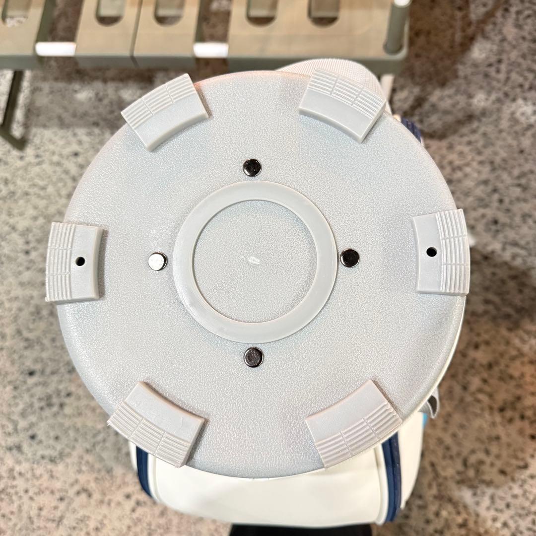 新品未使用‼️BRIDGESTONE GOLF キャディバッグ レディース