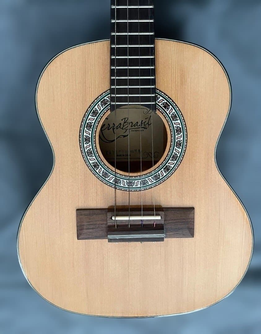 Terra Brasil Cavaquinho ピックアップ内蔵カヴァキーニョ