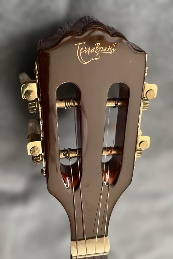 Terra Brasil Cavaquinho ピックアップ内蔵カヴァキーニョ