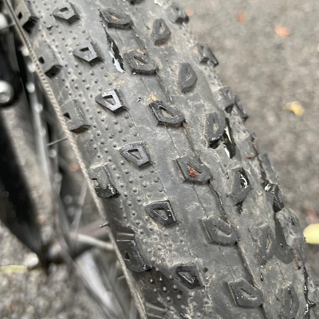 みさ　20インチ Precaliber 身長114-132cm ブルー