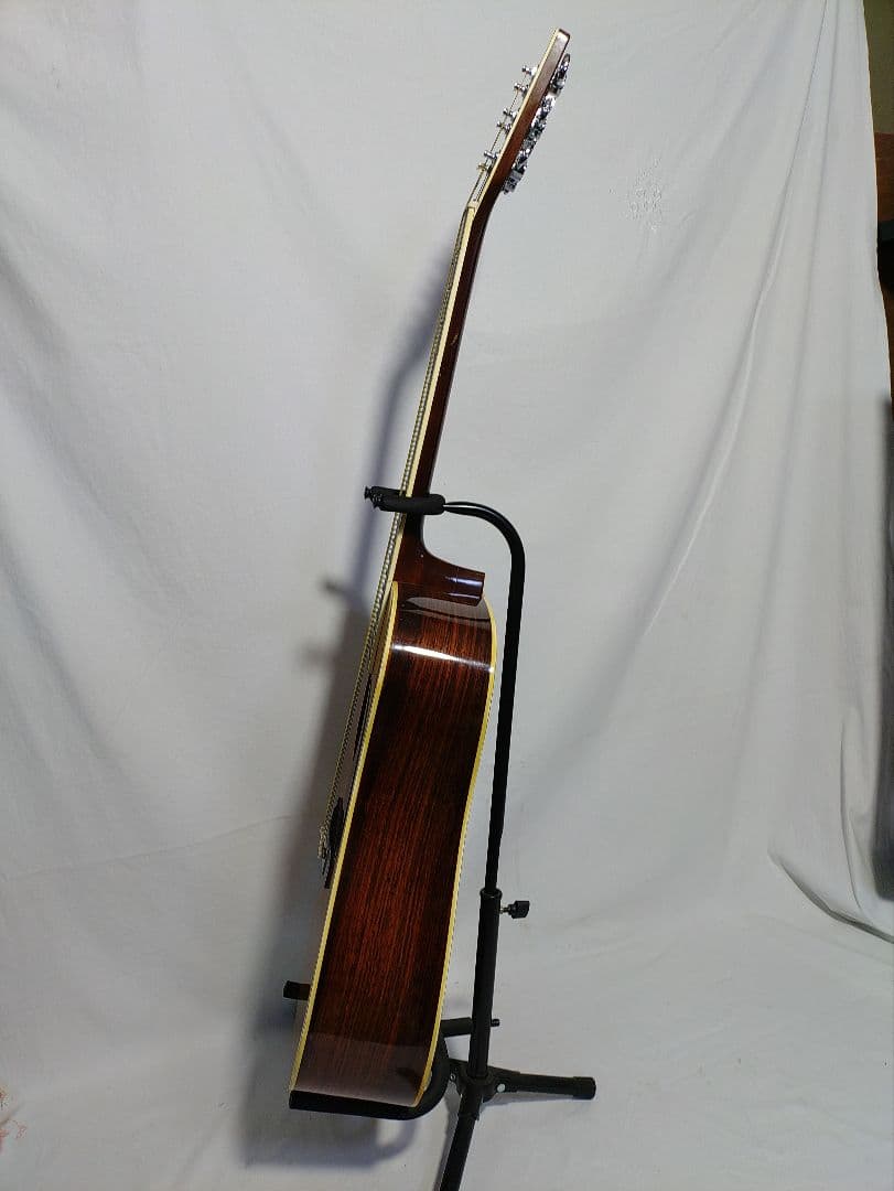 Humming　 Bird 　CUSTOM W-300 　　東海楽器