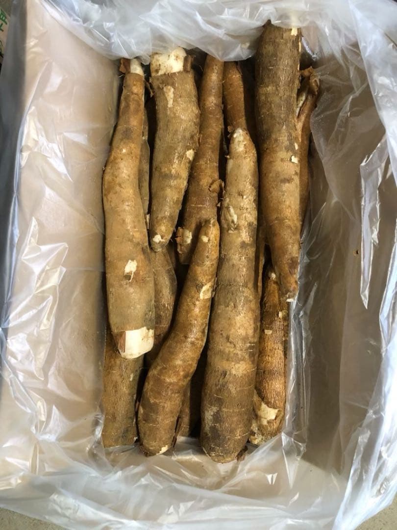 徳之島産キャッサバ薄黄色芋10キロ入り
