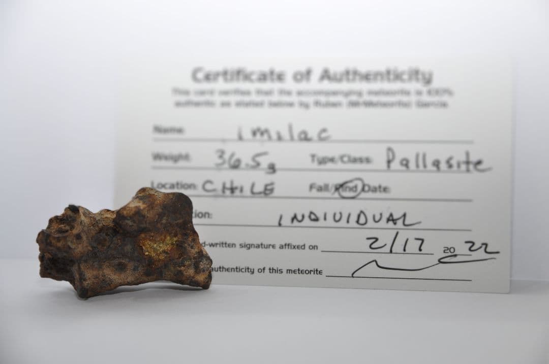 隕石 イミラック パラサイト 36.5g Imilac ⭐