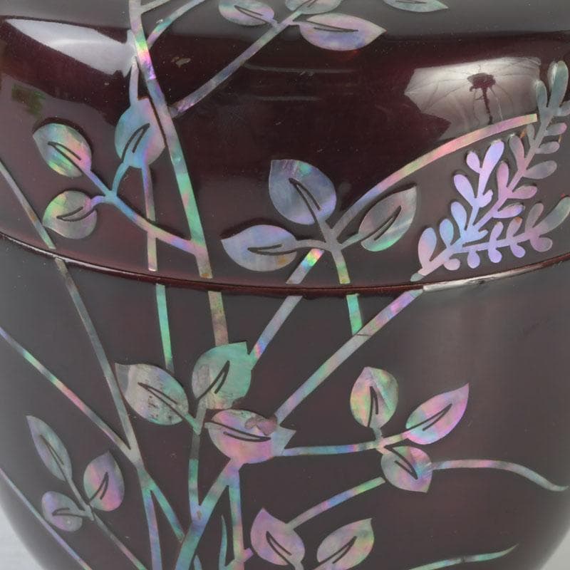 茶道具　螺鈿装飾　草蒔絵　棗　時代箱　V　9673