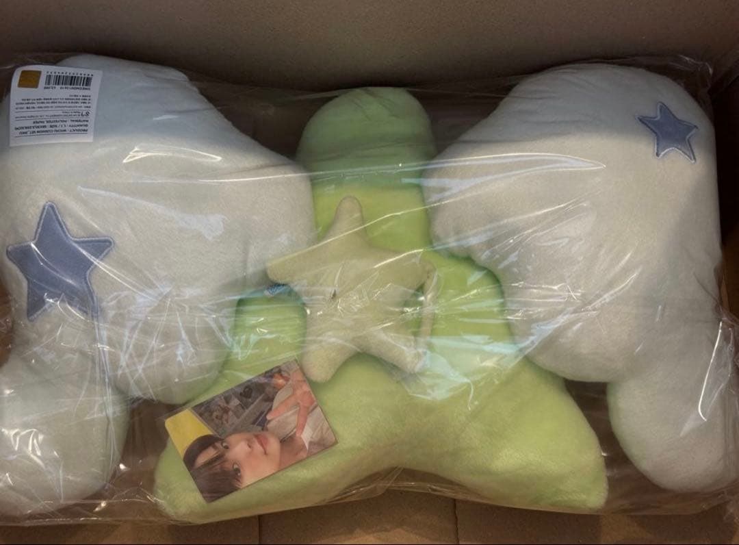 匿名配送 NCT WISH リク ウィチュ クッション WICHU ③