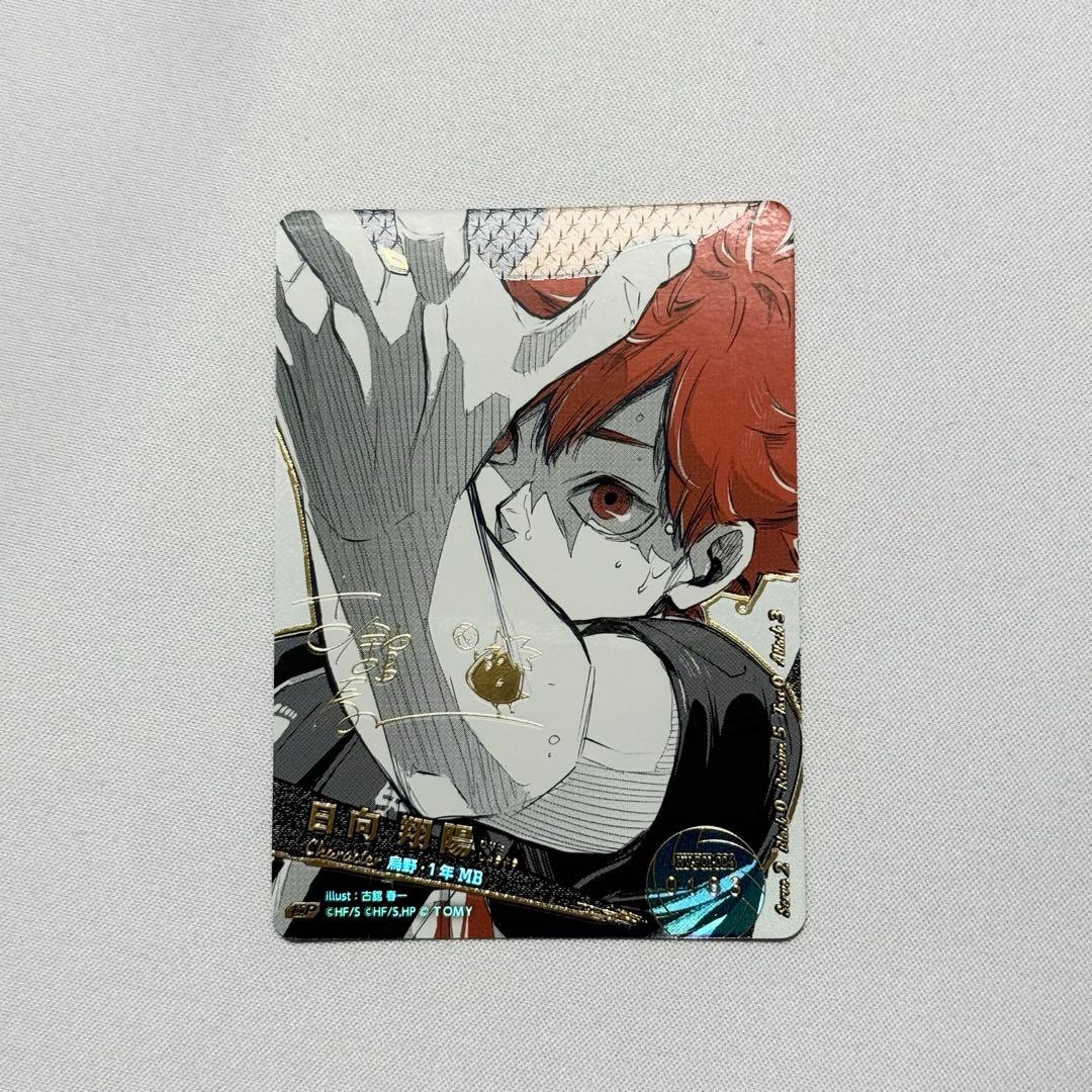 バボカ 日向翔陽 極P 古舘春一サイン