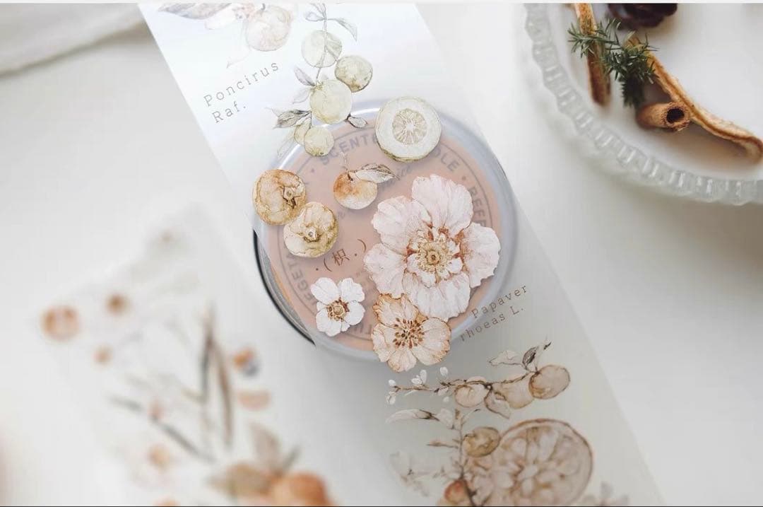 ⭐️SALE⭐️ 雀斑茶《橘枳》海外マスキングテープ　マステ 【1336】