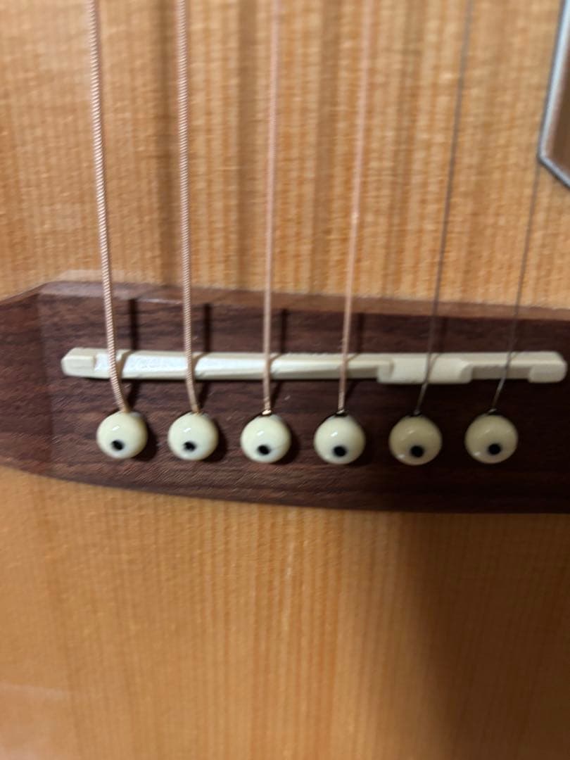 Fender Newporter Player アコースティックギター