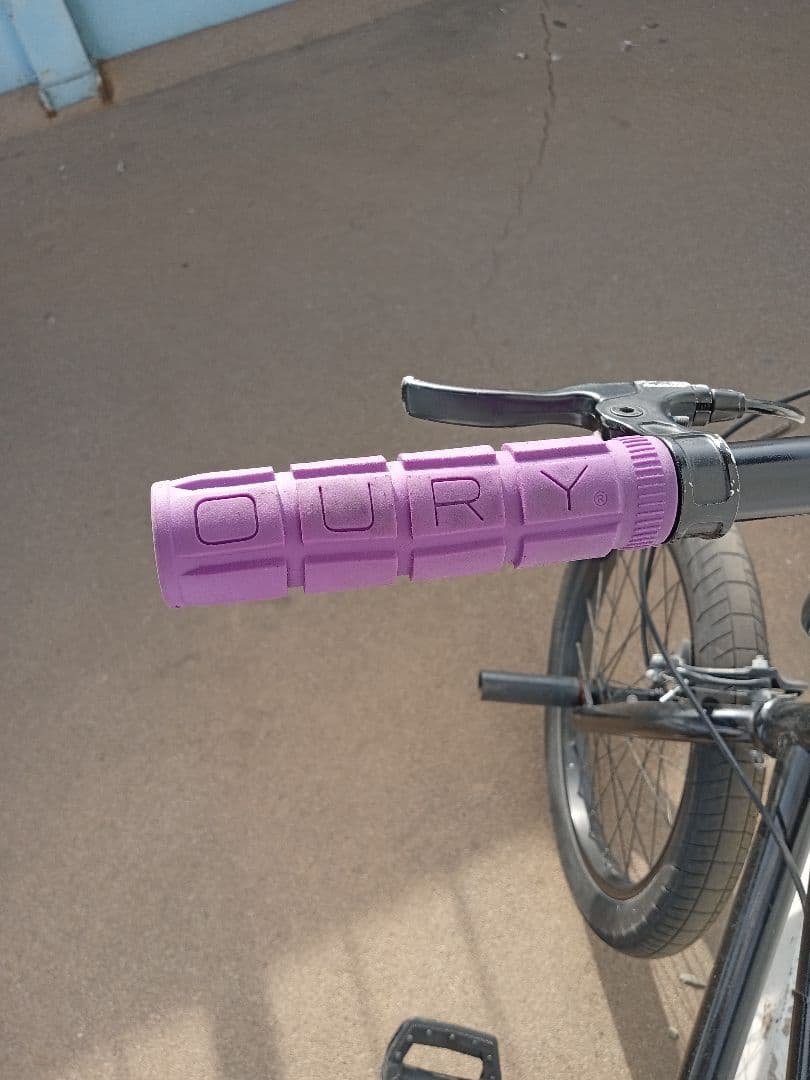 自転車本体 we the people BMX