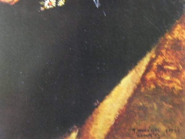 宮永岳彦、SWITZERLAND麗、限定200部・高級画版、新品額付