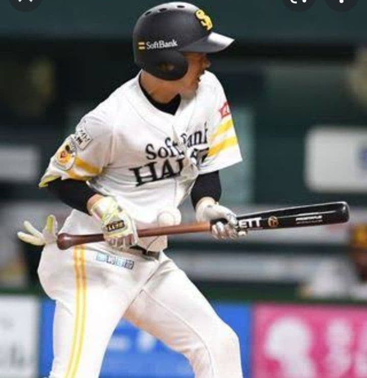 【プレミア】川瀬晃 ゼット ZETT 硬式木製バット 85cm 880g