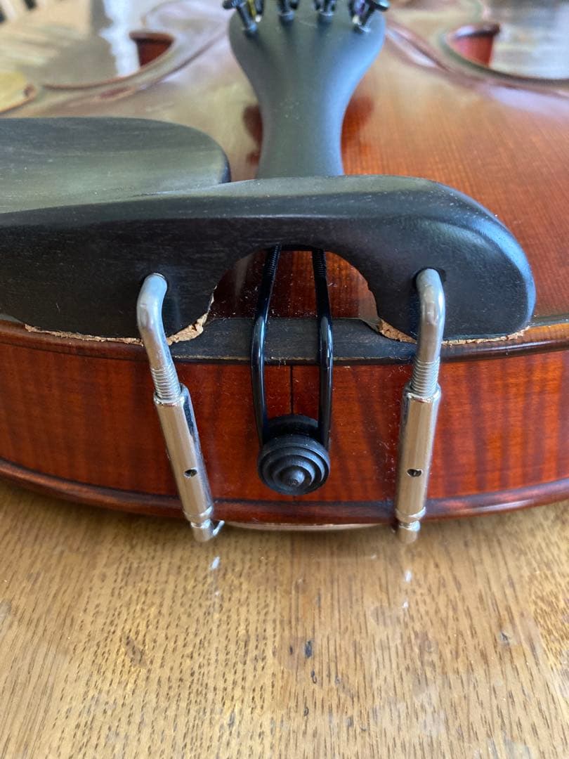 Gliga CRISTIAN GAMA バイオリン 4/4 1枚板