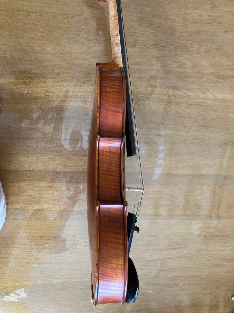 Gliga CRISTIAN GAMA バイオリン 4/4 1枚板