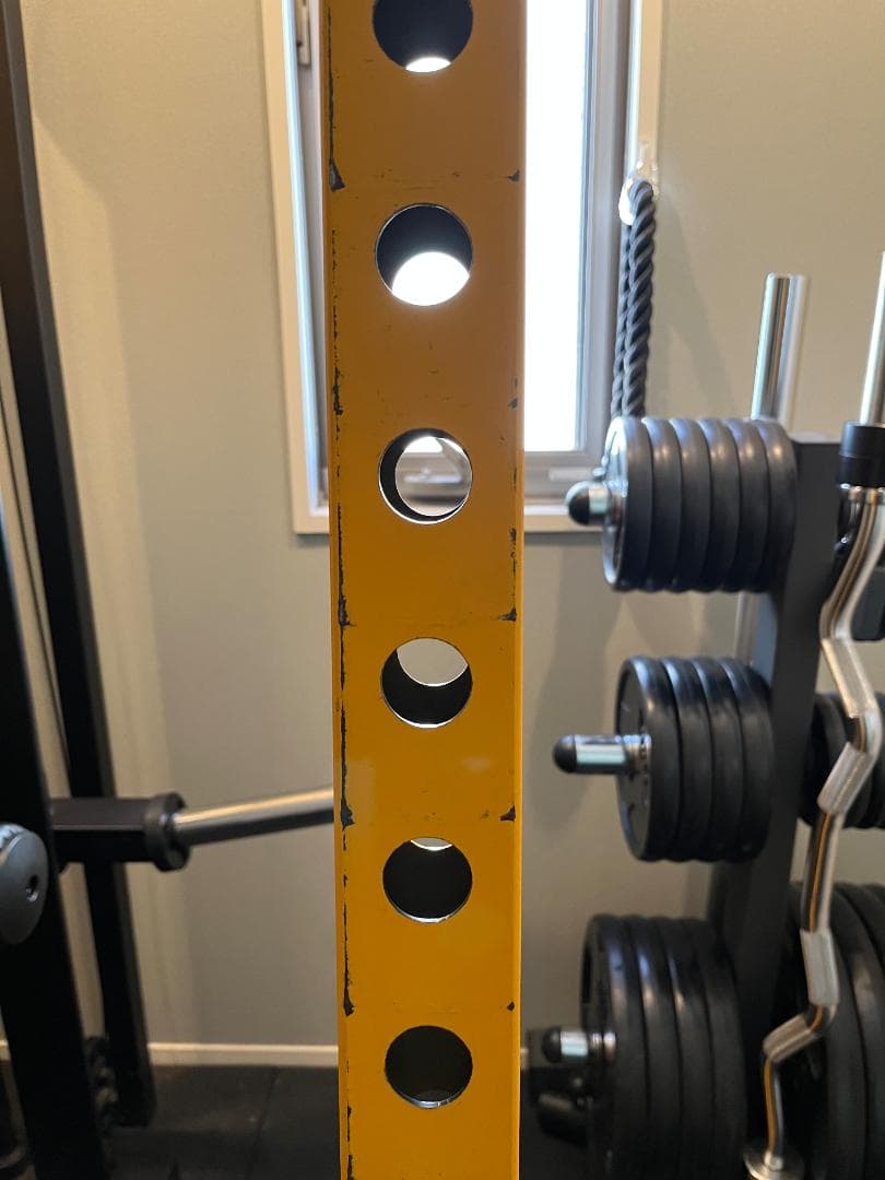 POWERTEC パワーテック ハーフラック ラットタワー ディップハンドルバー