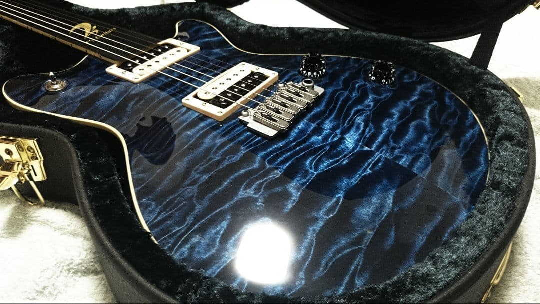 ぽちT's guitars Arc-STD 5A Quilt maple