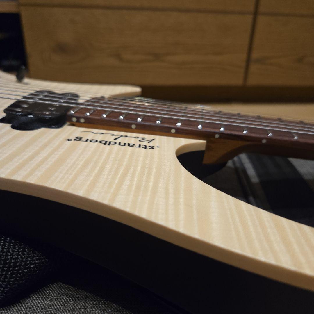 ギター strandbergBodenStandard NX6