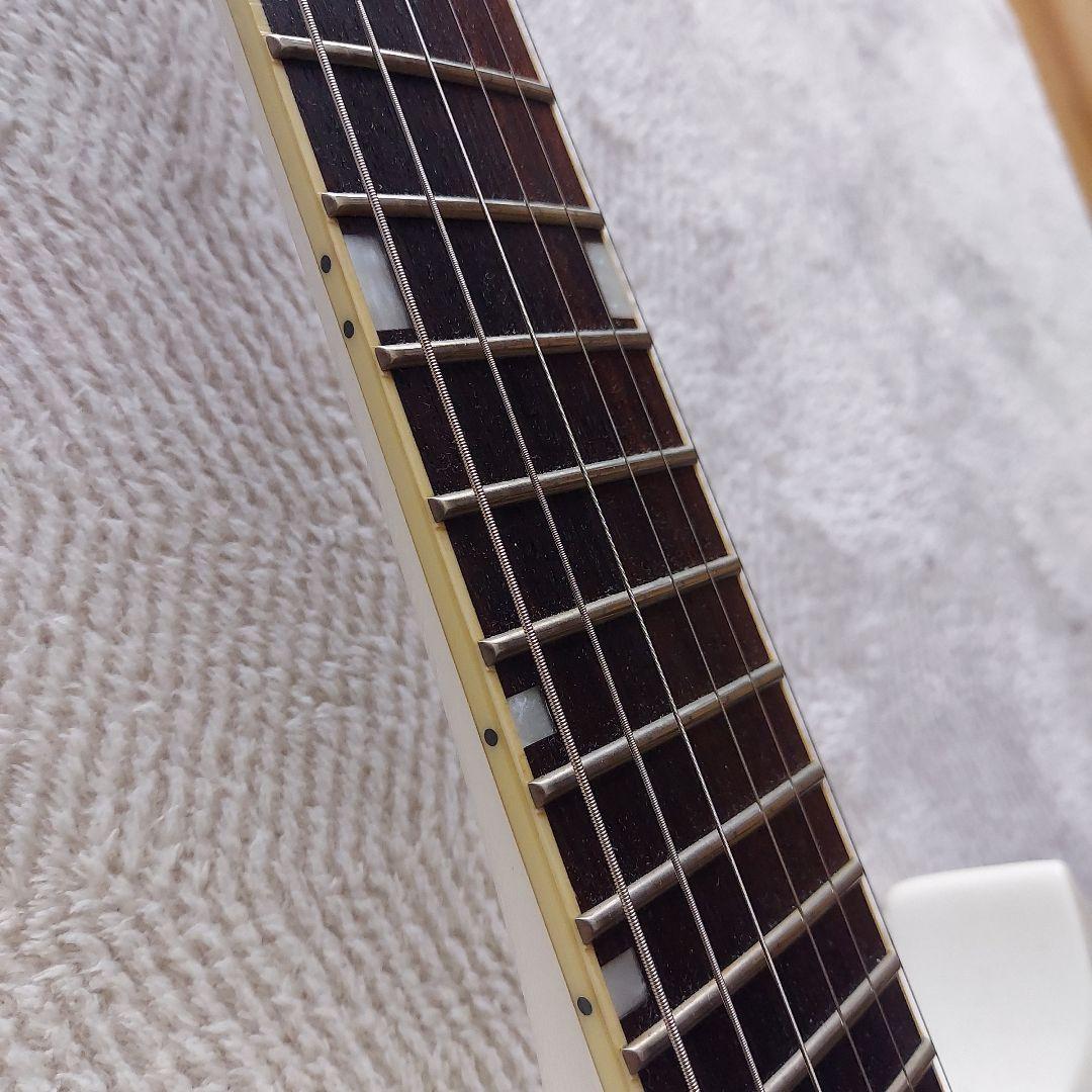 GRASS ROOTS ホライゾン　 フロイドローズ　セミハードケース付き