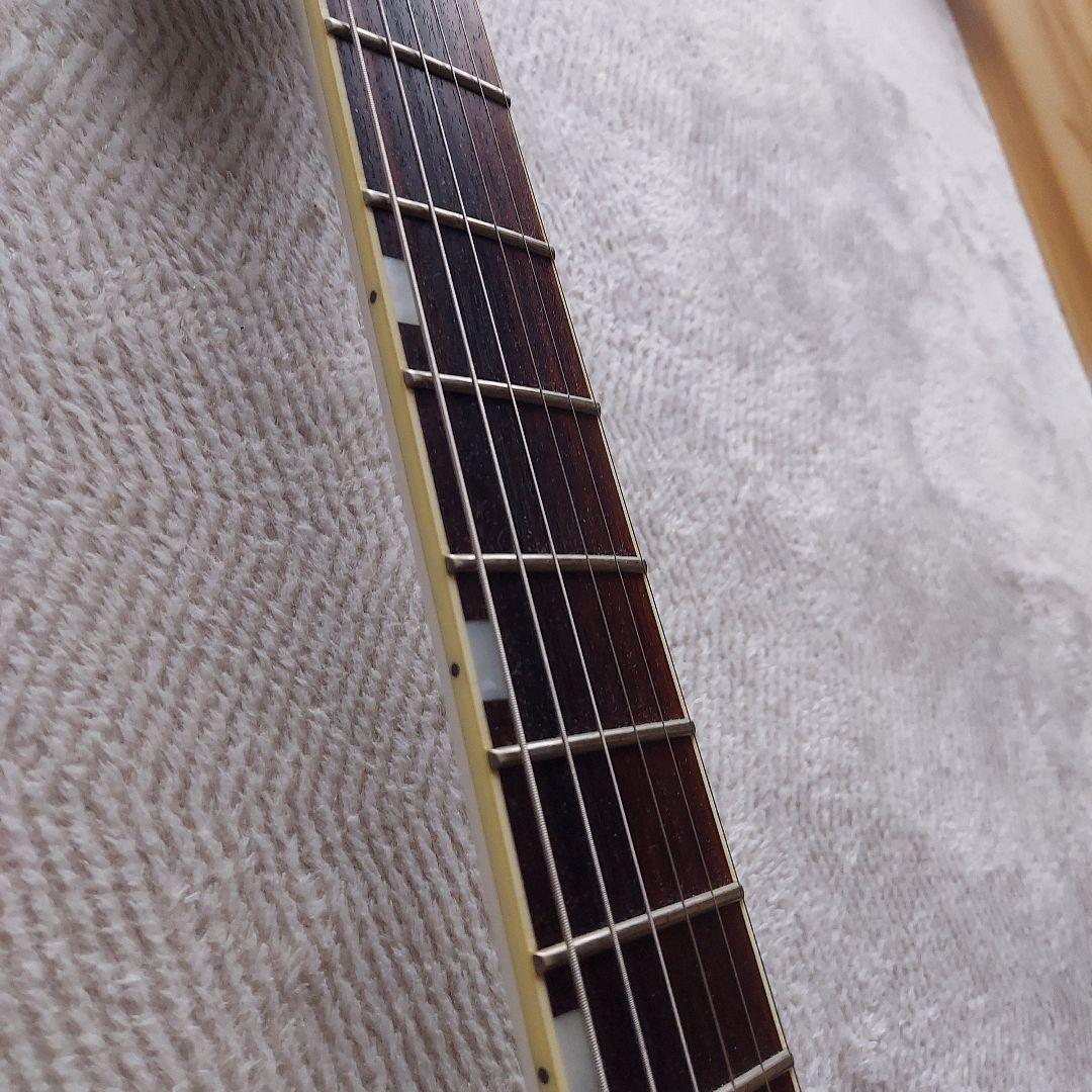 GRASS ROOTS ホライゾン　 フロイドローズ　セミハードケース付き