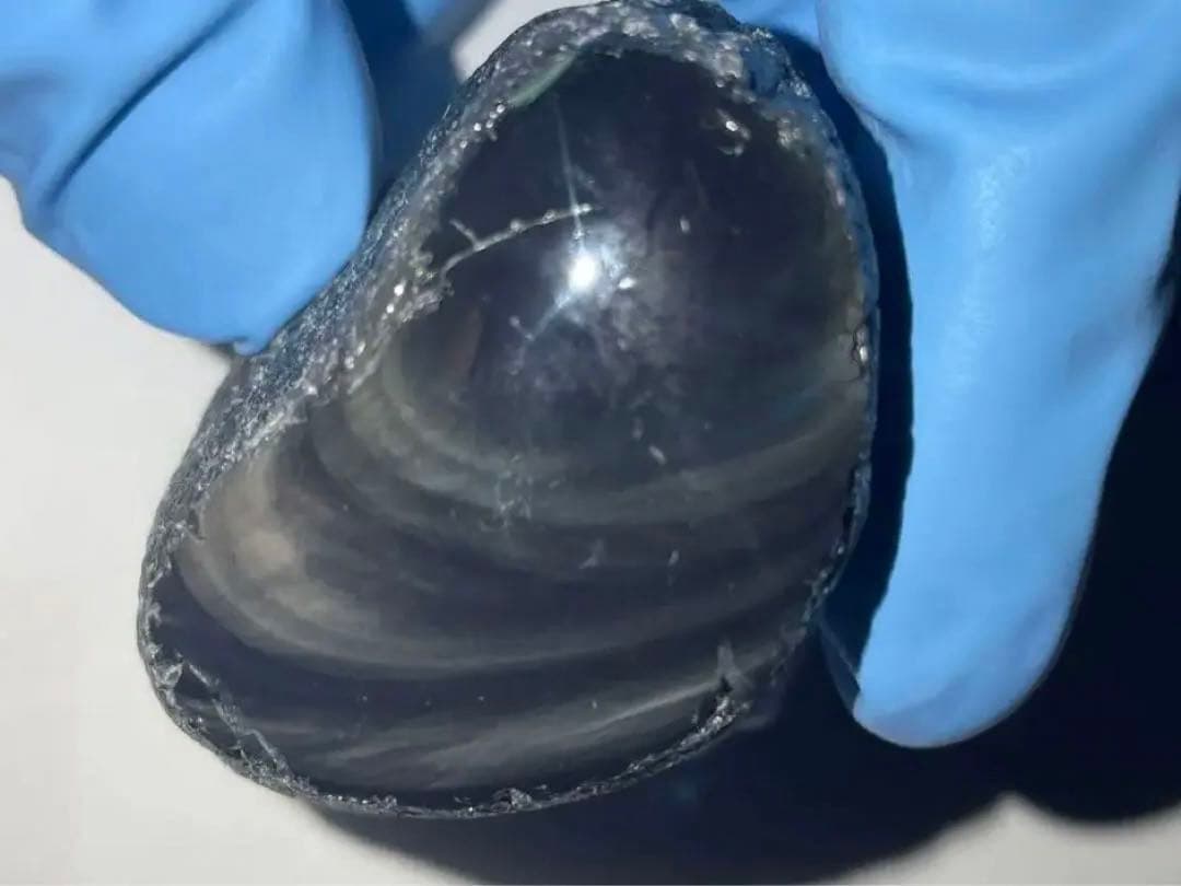 研磨品　十勝石玲瓏　虹　レインボーオブシディアン