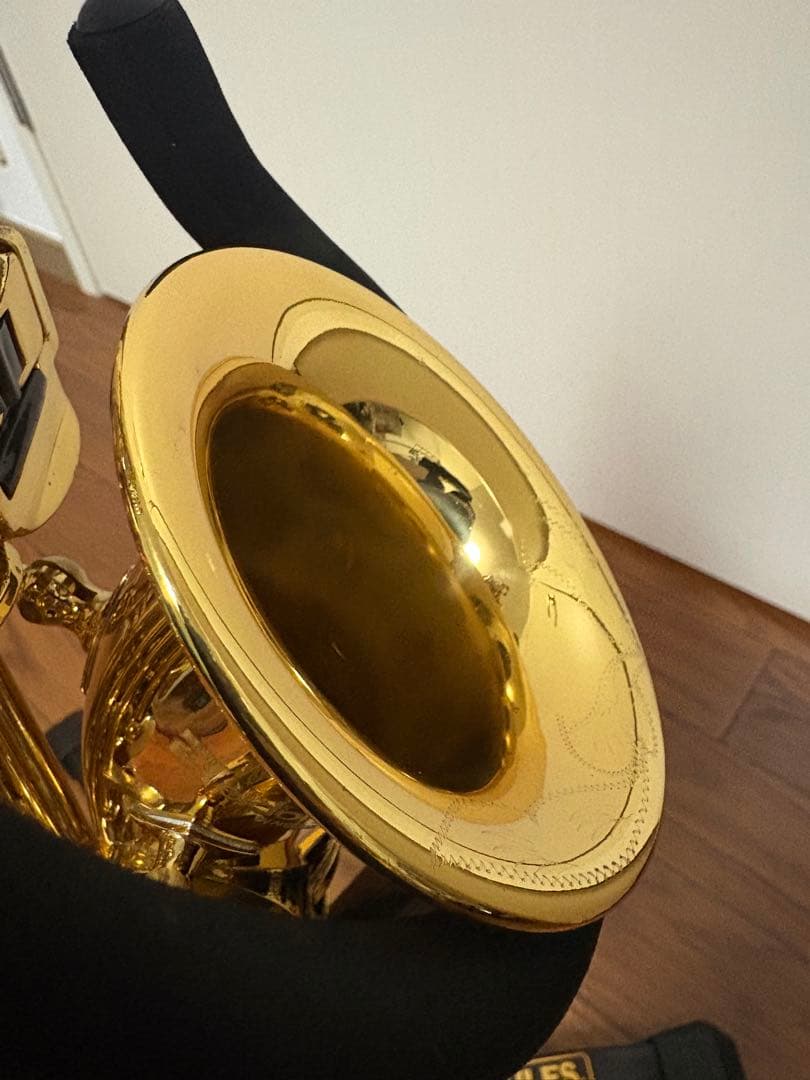 Antigua Eldon カーブドソプラノサックス　ヤナギサワブロンズネック付