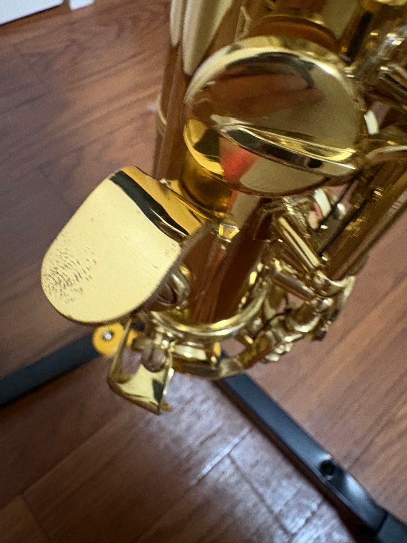 Antigua Eldon カーブドソプラノサックス　ヤナギサワブロンズネック付