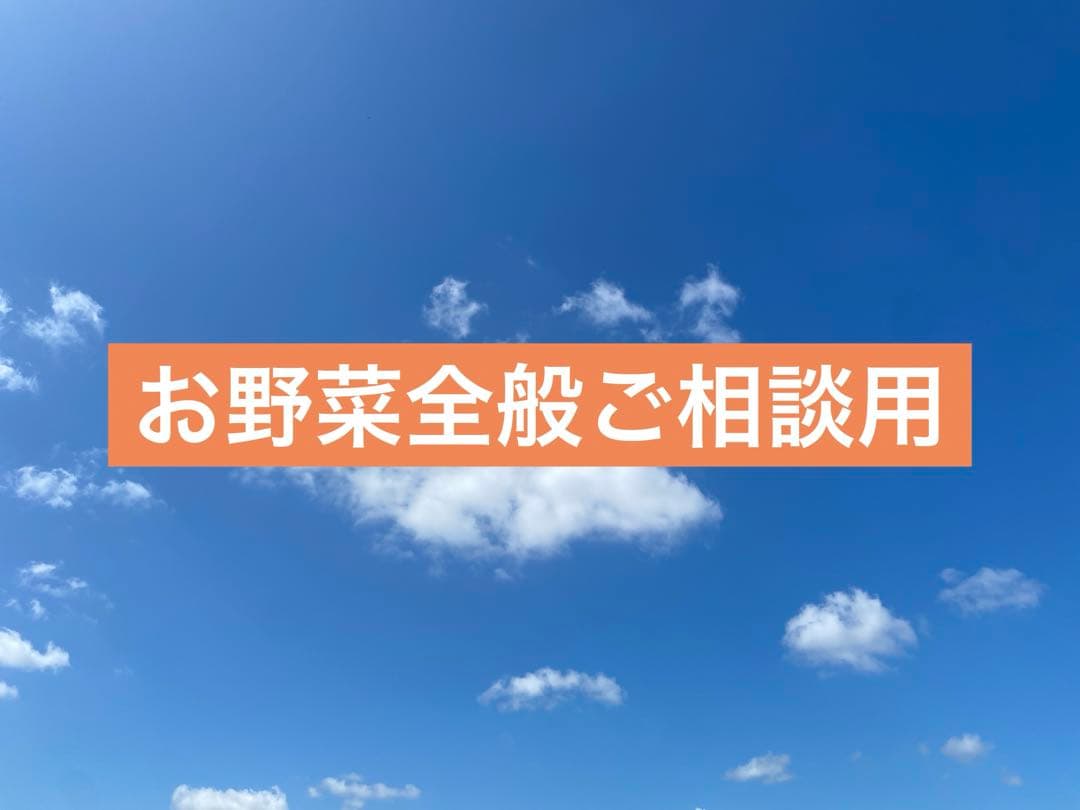 ご相談用です★