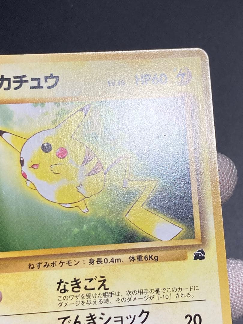 ピカチュウ 旧裏面 pmcg イントロパック 40 フシギダネマーク