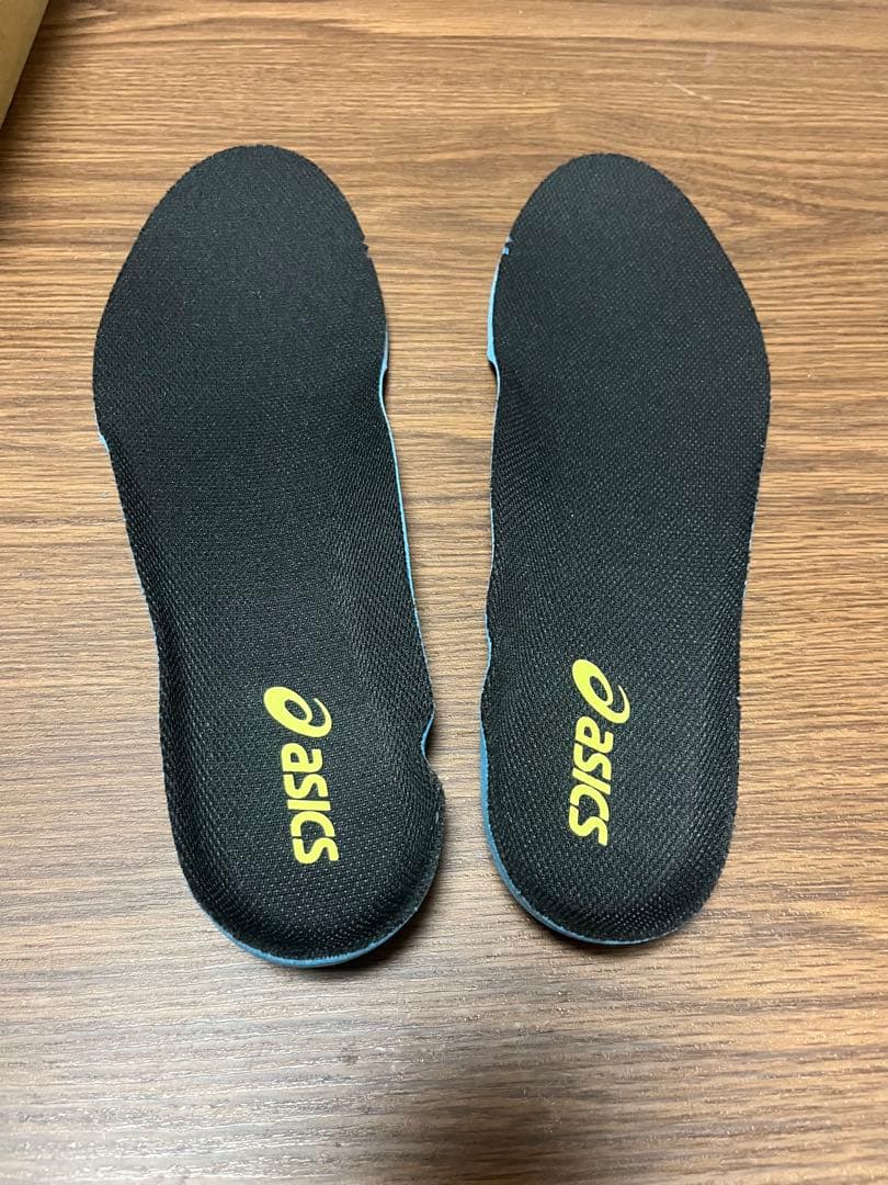 ASICS メタライズ　28.5cm