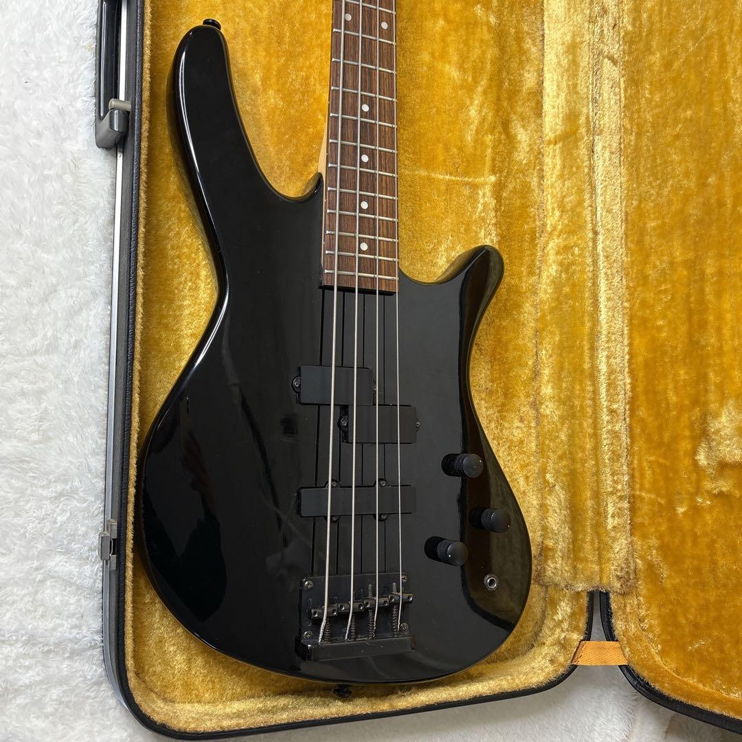 フジゲン　anboyベース