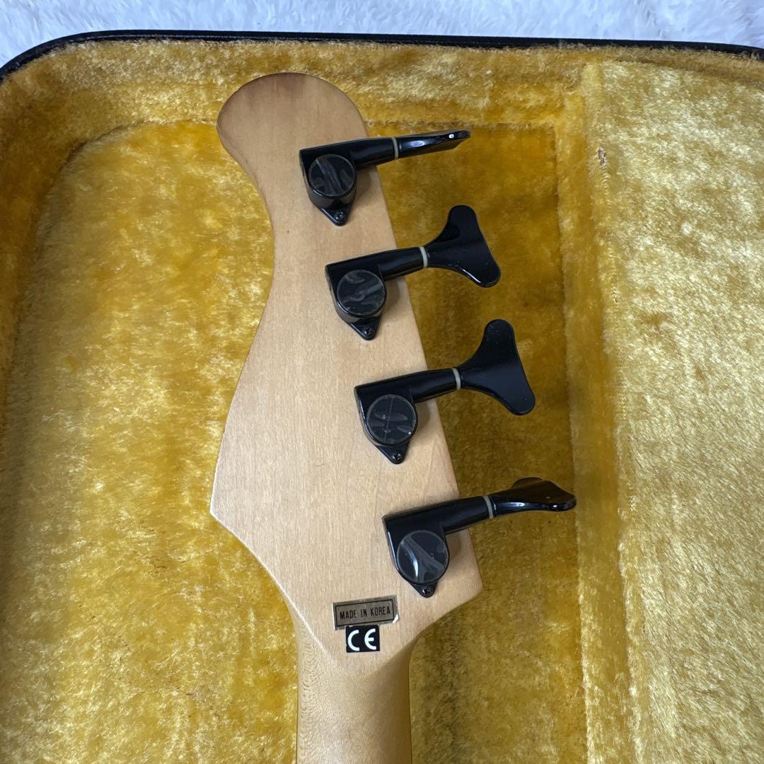 フジゲン　anboyベース