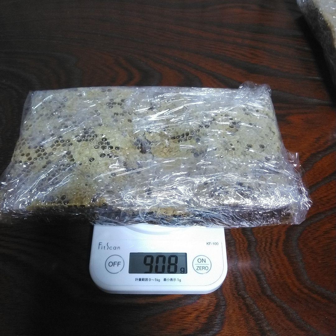 自然いっぱい！日本蜜蜂の巣蜜