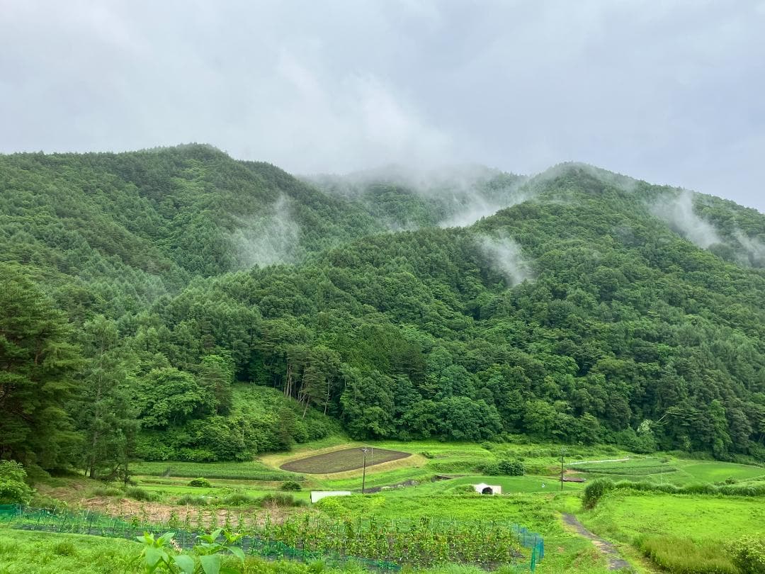 百花蜜 1000g 2本 長野県産 国産蜂蜜 はちみつ セイヨウミツバチ*