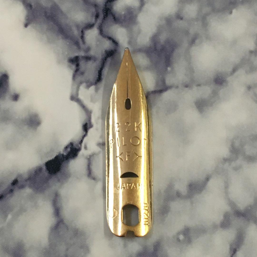 #0231 オーバーホール済み 万年筆 PILOT パイロット ショート22k