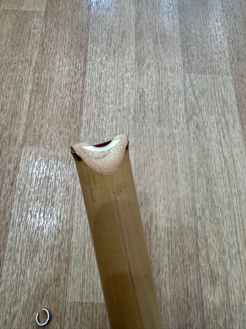 尺八 薰風銘 1尺5寸 延べ管地あり 正律管 金巻き歌口高級管