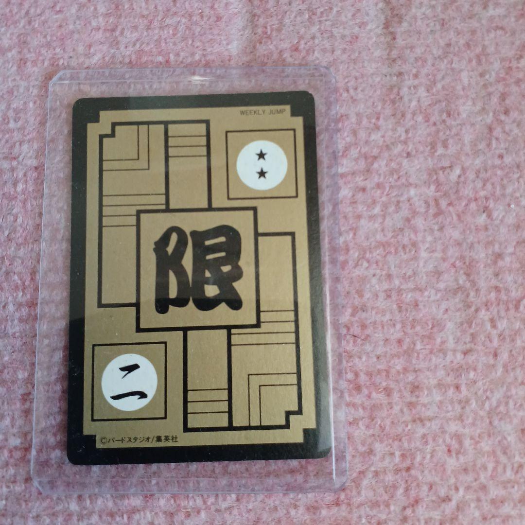 イ*ヌ様 ドラゴンボール　めちゃんこプロジェクト　Ⅱ　孫悟空