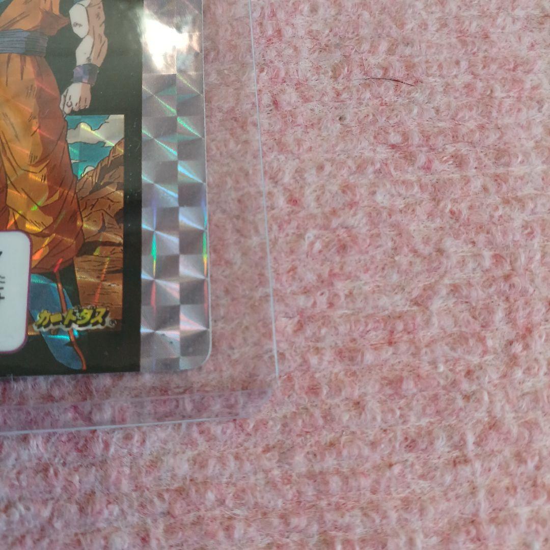 イ*ヌ様 ドラゴンボール　めちゃんこプロジェクト　Ⅱ　孫悟空