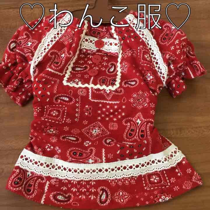 るぃたま＠様♡わんこ服♡専用③