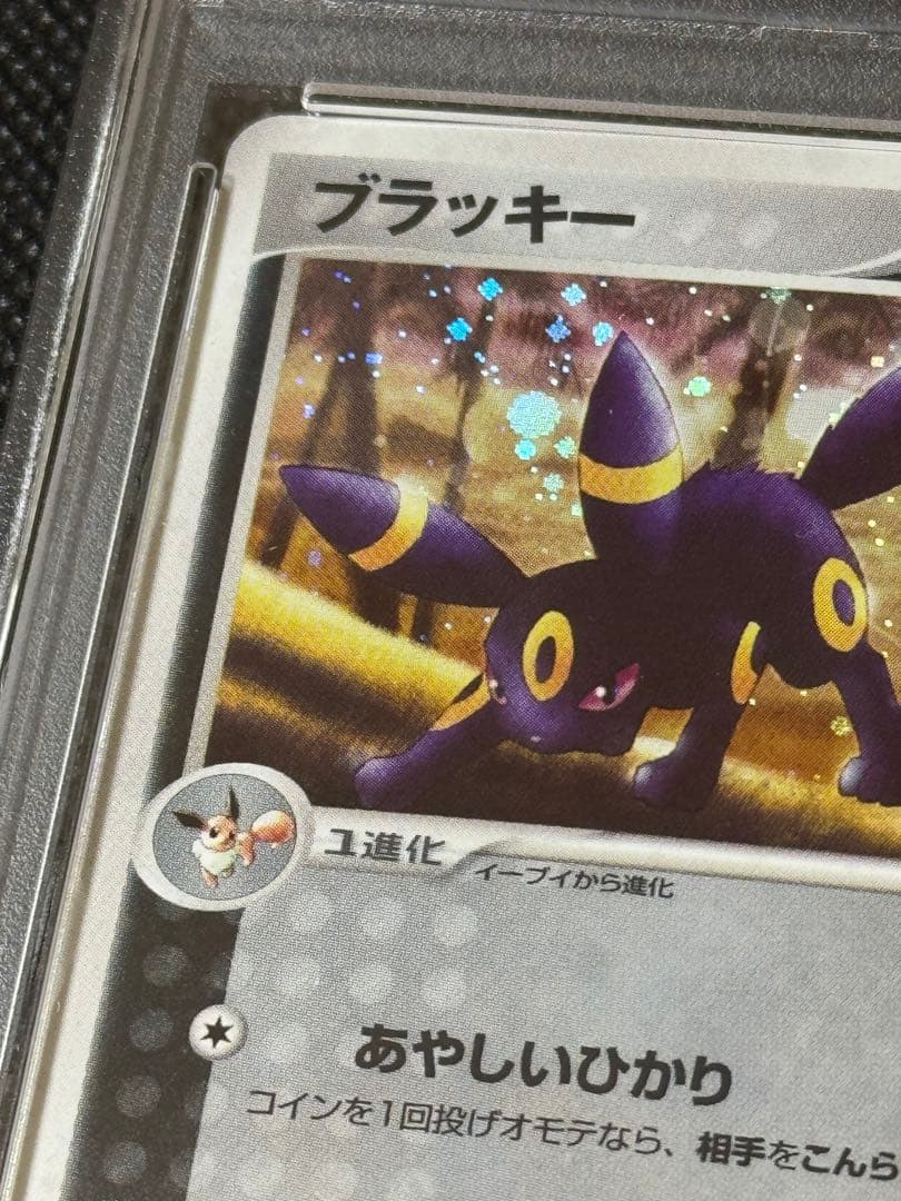 ブラッキー ホロPSA10 マグマVSアクア 1stエディション 1ed