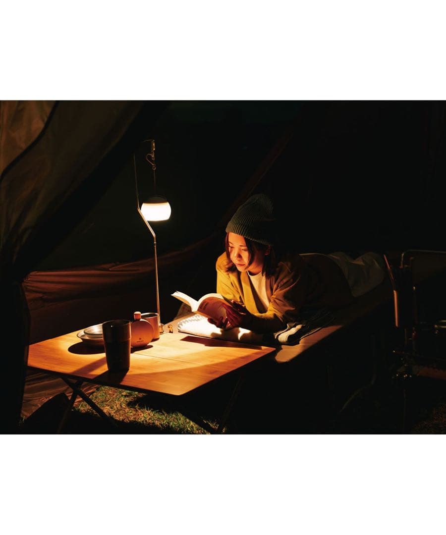 【新品・未使用】ほおずき もり ES-070GR